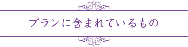 プランに含まれているもの プランに含まれているもの