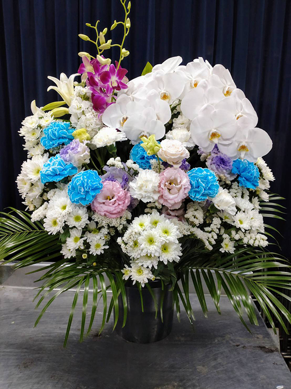 洋花 洋花